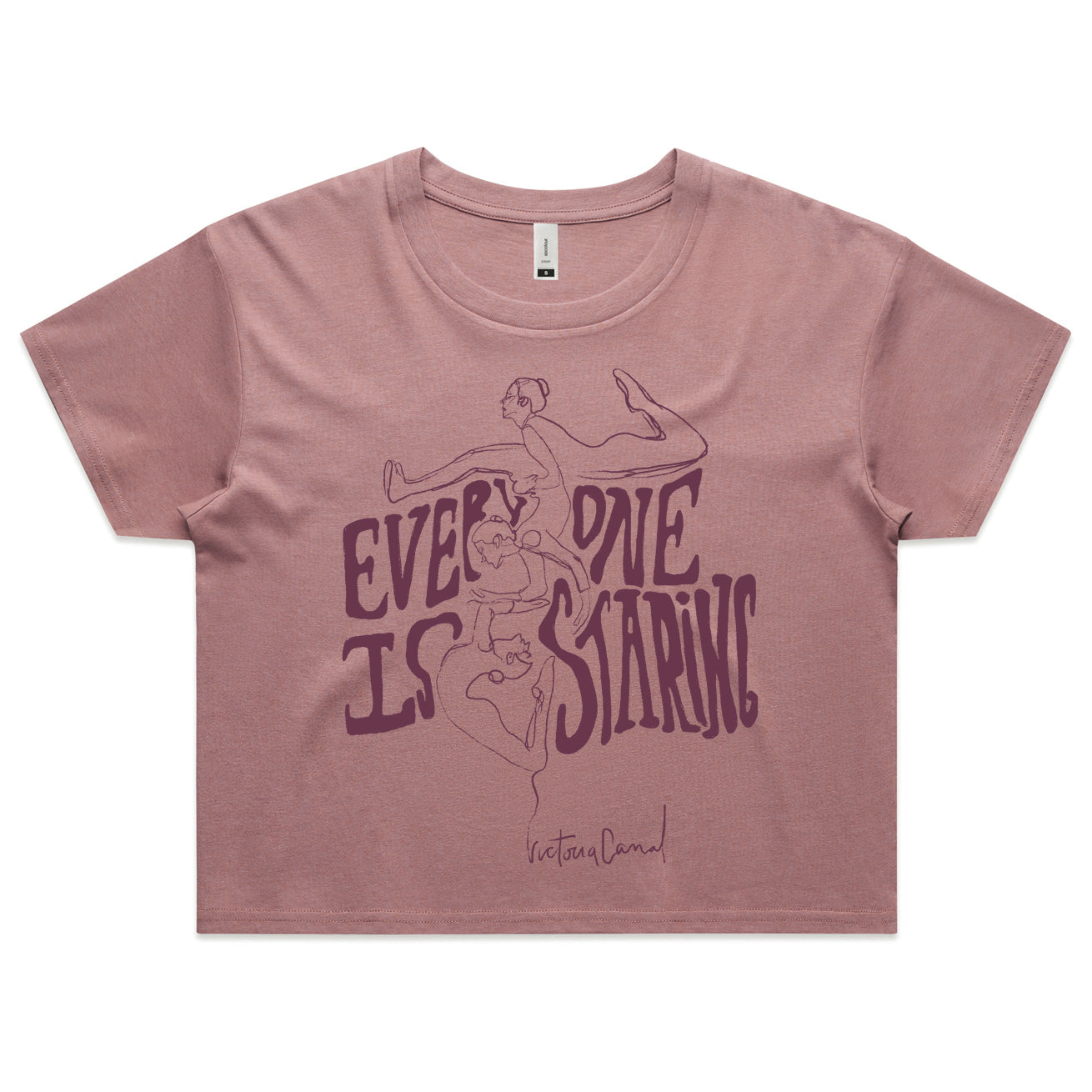 Hazy Pink Crop T-Shirt